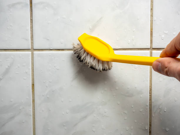 Best Residential Mold Remediation in Cadiz, OH